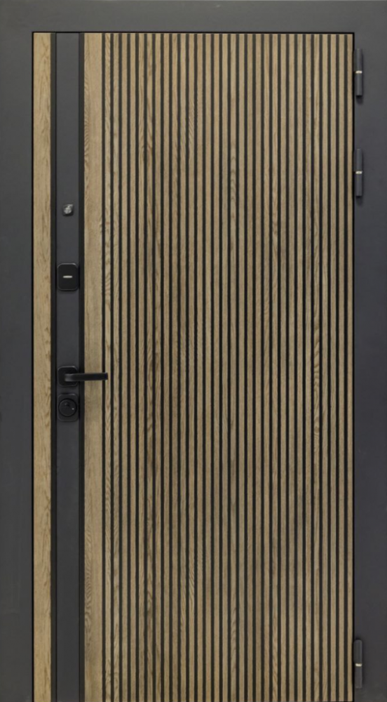 Входная дверь ДвериПРО Rosna Без фрезеровки Дуб арктик горизонт DPRO198250 внешняя сторона