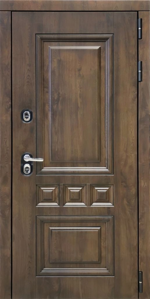 Входная дверь ДвериПРО Аура Фараон-2 (16мм, светлый мореный дуб) DPRO196036 внешняя сторона